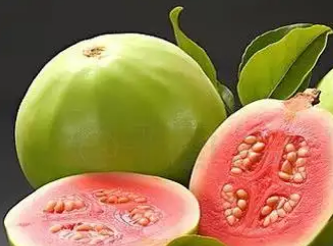 芭乐是什么季节的水果