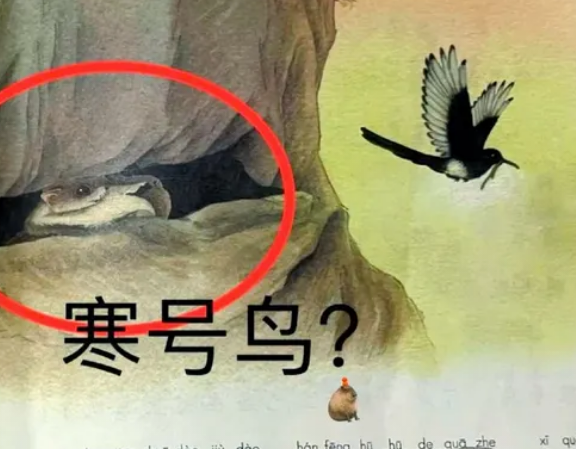 寒号鸟为什么叫寒号鸟